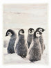 Deyongs 1846 Penguin 140cm x 180cm Fleece Throw