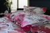 Deyongs 1846 Floral Whisper Pink Duvet Set